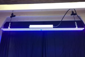 Model 100 UVA Curing Light